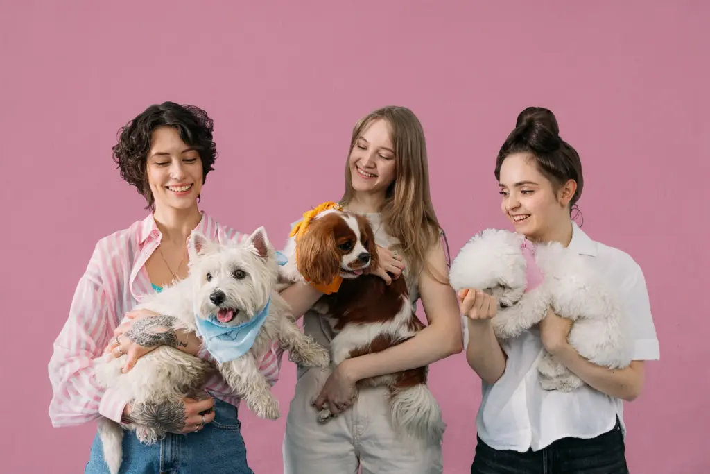 3 Hunde in der Photobooth