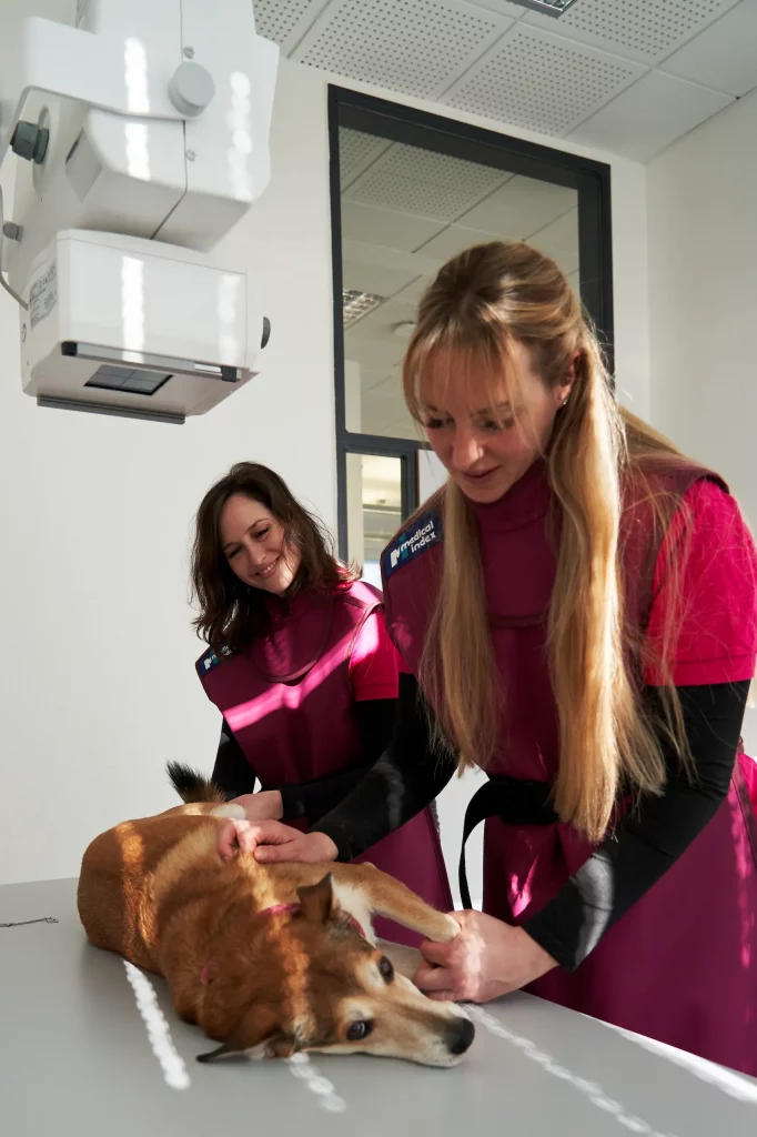 Sammy Krallenkürzung